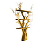 Caelroot Handcrafted Solid Wood Tree Bookshelf