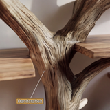 Canopyform Solid Wood Tree Bookshelf - Timberustic Tree Bookshelf