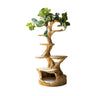 Canora Sculpted Solid Wood Tree-Inspired Cat Tree Shelf Natural Oak - Timberustic Tree-Inspired Cat Tree Shelf