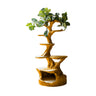 Canora Sculpted Solid Wood Tree-Inspired Cat Tree Shelf Teak - Timberustic Tree-Inspired Cat Tree Shelf