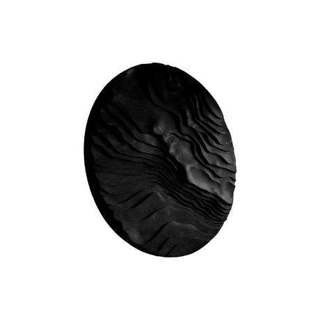 Darynth Solid Wood Sculpted Wall Art Black - Timberustic Wall Art