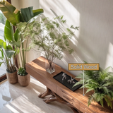 Dravaryn Solid Wood Sculpted Console Table - Timberustic Console Table