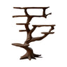 Dravoryn Sculpted Solid Wood Tree Bookshelf Dark Walnut - Timberustic Tree Bookshelf