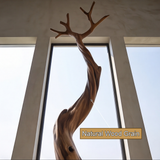 Driftbark Handcrafted Sculpted Solid Wood Tree Coat Rack