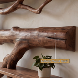 Driftbark Handcrafted Solid Wood Floating Tree Bookshelf