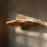 Elarith Live Edge Solid Wood Mushroom Floating Shelf SPA543488 - Timberustic Floating Shelf
