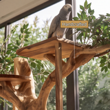 Elarwood Handcrafted Tree Branch Parrot Stand - Timberustic Tree Branch Parrot Stand