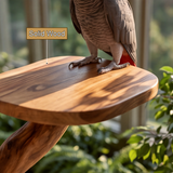 Eldergrove Handcrafted Tree Branch Parrot Stand SPA935824 - Timberustic Tree Branch Parrot Stand