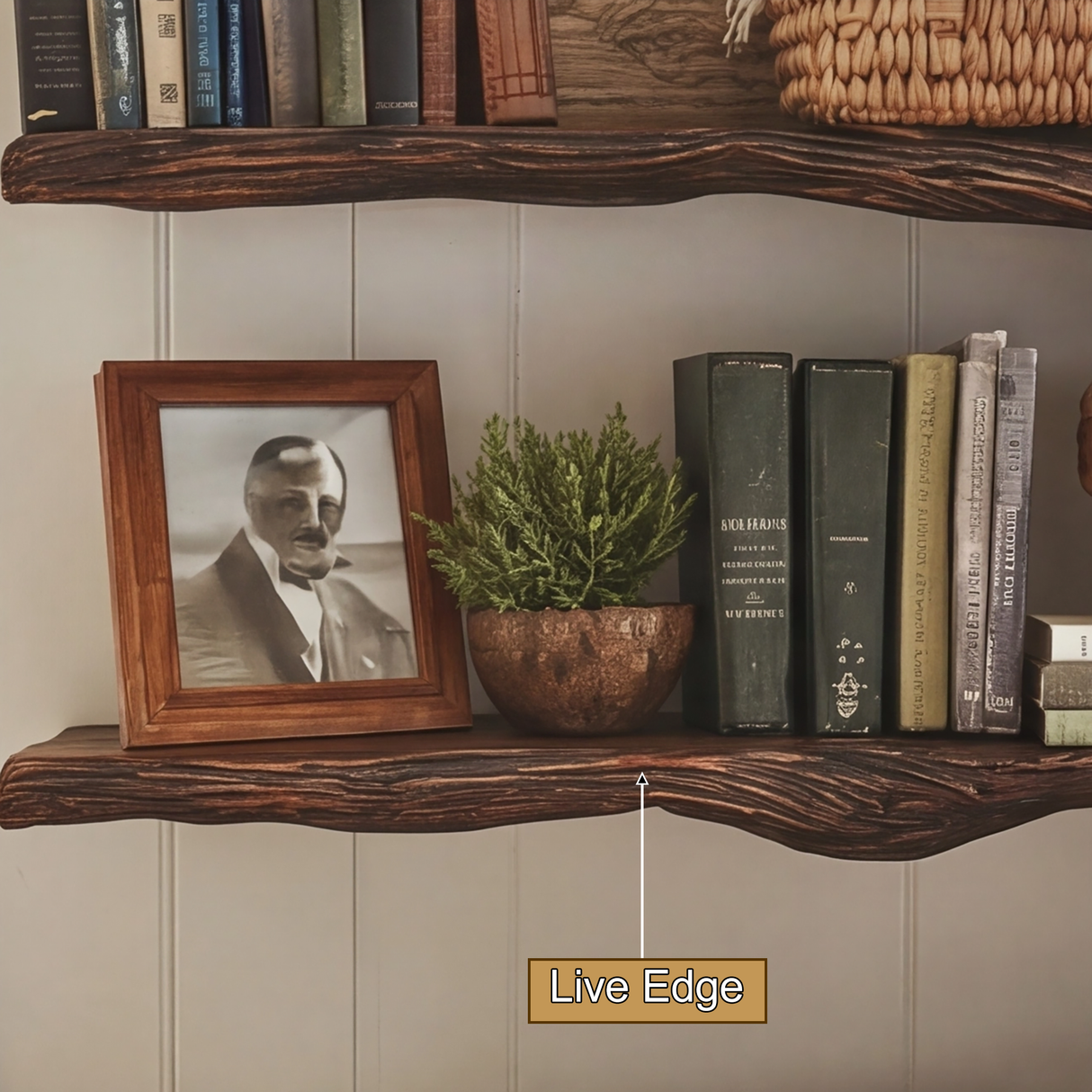 Eldrathen Sculpted Solid Wood Tree Bookshelf - Timberustic Tree Bookshelf