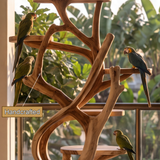 Eldraven Handcrafted Tree Branch Parrot Stand SPA938246 - Timberustic Tree Branch Parrot Stand