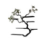 Eldrion Handcrafted Solid Wood Floating Tree Bookshelf