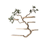 Eldrion Handcrafted Solid Wood Floating Tree Bookshelf