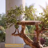Eldrith Handcrafted Tree Branch Parrot Stand SPA215402 - Timberustic Tree Branch Parrot Stand