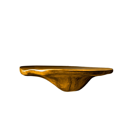 Elowen Sculpted Solid Wood Mushroom Floating Shelf
