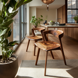 Elvarn Curve Solid Wood Dining Chair - Timberustic Dining Chair