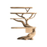 Eryndor Sculpted Solid Wood Tree Bookshelf with Drawers Natural Oak - Timberustic Tree Bookshelf