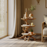 Everroot Live Edge Solid Wood Side Table