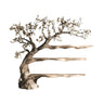 Floravelle Handcrafted Solid Wood Tree Bookshelf
