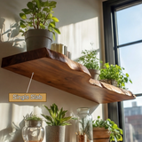 Kelvion Live Edge Solid Wood Floating Shelf SPA101010 - Timberustic Floating Shelf