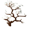 Lunareth Handcrafted Solid Wood Floating Tree Bookshelf