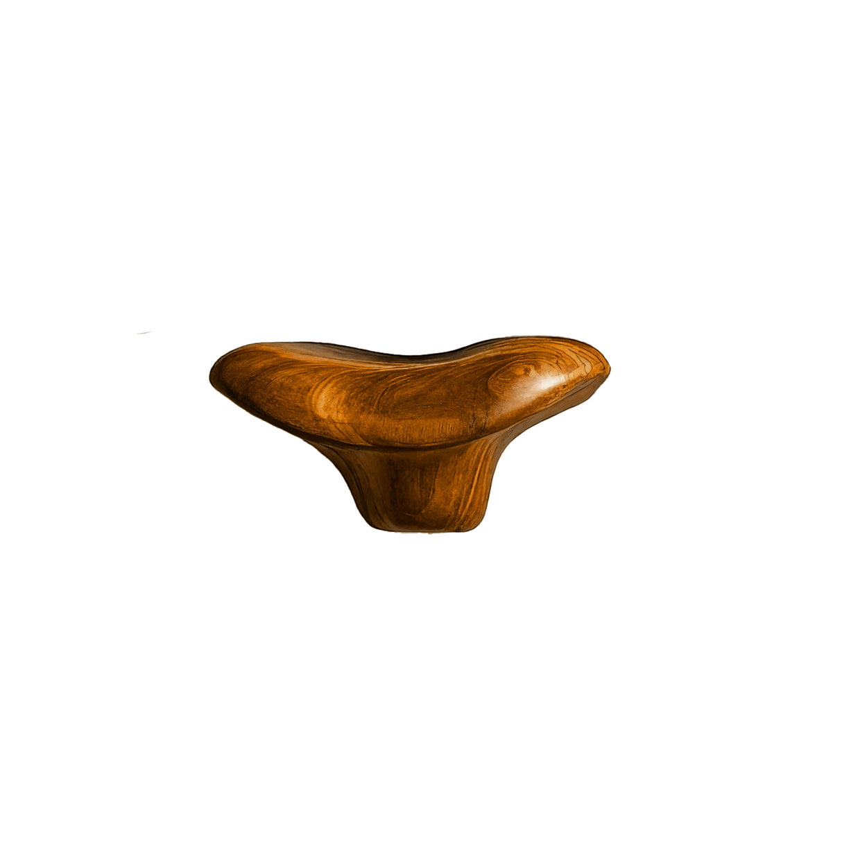 Morva Sculpted Solid Wood Mushroom Floating Shelf Brown - Timberustic Floating Shelf