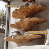 Mycelune Live Edge Solid Wood Mushroom Floating Shelf SPA924212 - Timberustic Floating Shelf