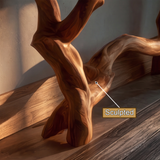 Myraveth Sculpted Solid Wood Console Table SPA295874