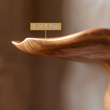 Mytherra Live Edge Solid Wood Mushroom Floating Shelf SPA353852 - Timberustic Floating Shelf