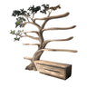 Mythravel Sculpted Solid Wood Tree Bookshelf with Drawers Natural Oak - Timberustic Tree Bookshelf