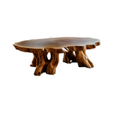 Narra Root-Form Handcrafted Coffee Table