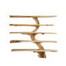 Natureroot Live-Edge Solid Wood Tree Bookshelf