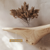 Norvane Solid Wood Sculpted Mushroom Floating Shelf SPA583678 - Timberustic Floating Shelf
