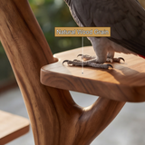 Oakspire Handcrafted Tree Branch Parrot Stand SPA437045 - Timberustic Tree Branch Parrot Stand
