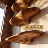 Orvani Sculpted Solid Wood Mushroom Floating Shelf SPA375733 - Timberustic Floating Shelf