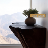 Orvethra Live Edge Solid Wood Mountain Floating Shelf SPA524789 - Timberustic Floating Shelf