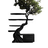 Ravaryn Organic Modern Tree Bookshelf with Drawers Black - Timberustic Tree Bookshelf