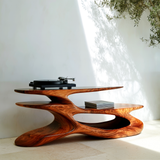 Solvaryn Handcrafted Solid Wood Record Player Stand SPA132544 - Timberustic Record Player Stand With Storage