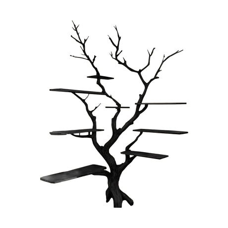 Sylva Organic Modern Solid Wood Tree Bookshelf