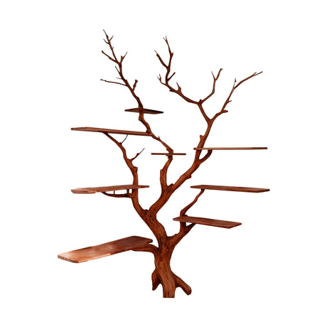 Sylva Organic Modern Solid Wood Tree Bookshelf