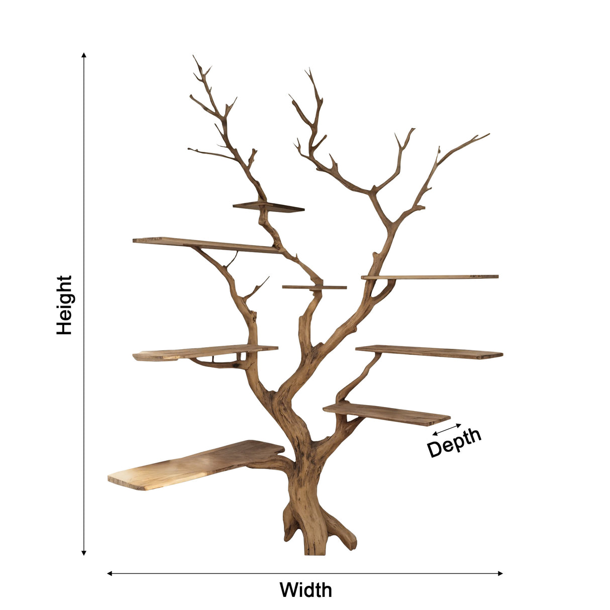Sylva Organic Modern Solid Wood Tree Bookshelf