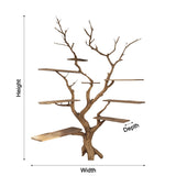 Sylva Organic Modern Solid Wood Tree Bookshelf