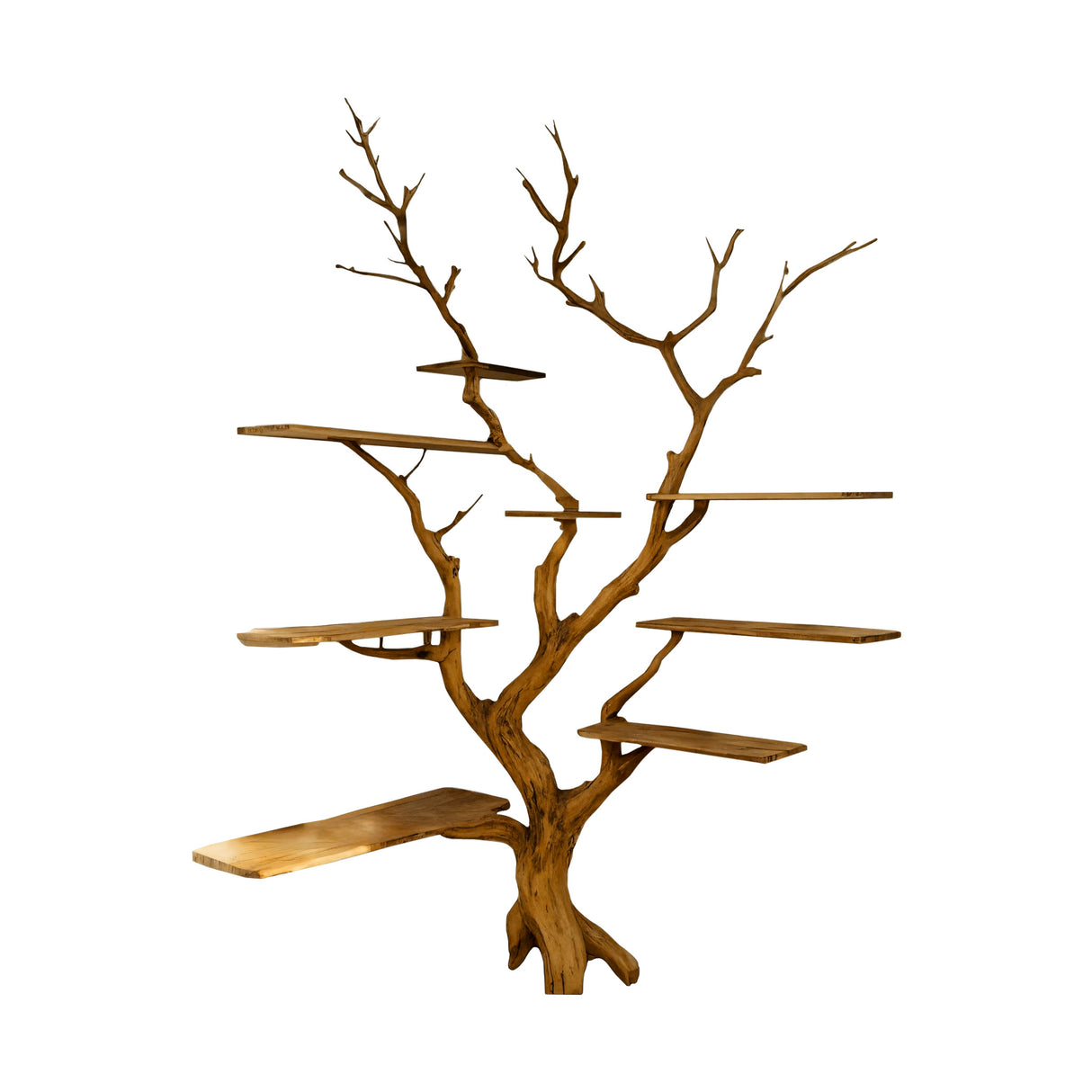 Sylva Organic Modern Solid Wood Tree Bookshelf