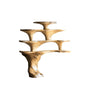 Sylvara Live Edge Solid Wood Kitchen Shelf Natural Oak - Timberustic Kitchen Shelf