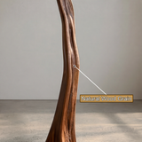 Sylvaris Sculpted Solid Wood Tree Coat Rack - Timberustic Tree Coat Rack