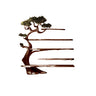 Sylvaris Sculptural Solid Wood Tree Bookshelf