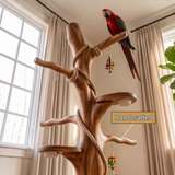 Sylvaro Handcrafted Solid Wood Tree Branch Parrot Stand SPA248142 - Timberustic Tree Branch Parrot Stand