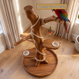 Sylvaro Handcrafted Solid Wood Tree Branch Parrot Stand SPA248142 - Timberustic Tree Branch Parrot Stand