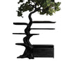 Sylveroak Organic Modern Tree Bookshelf with Drawers Black - Timberustic Tree Bookshelf