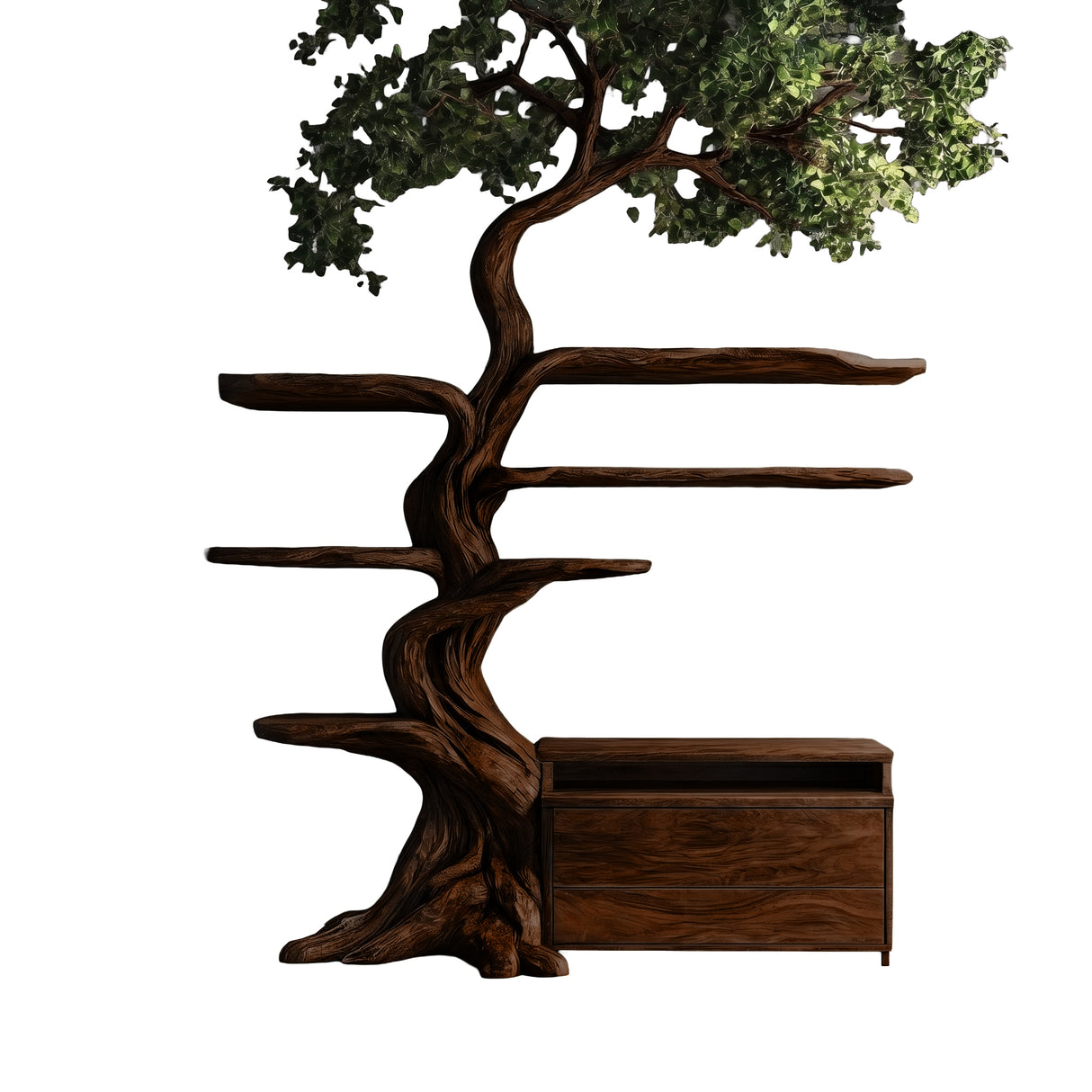Sylveroak Organic Modern Tree Bookshelf with Drawers Dark Walnut - Timberustic Tree Bookshelf