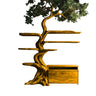 Sylveroak Organic Modern Tree Bookshelf with Drawers Teak - Timberustic Tree Bookshelf